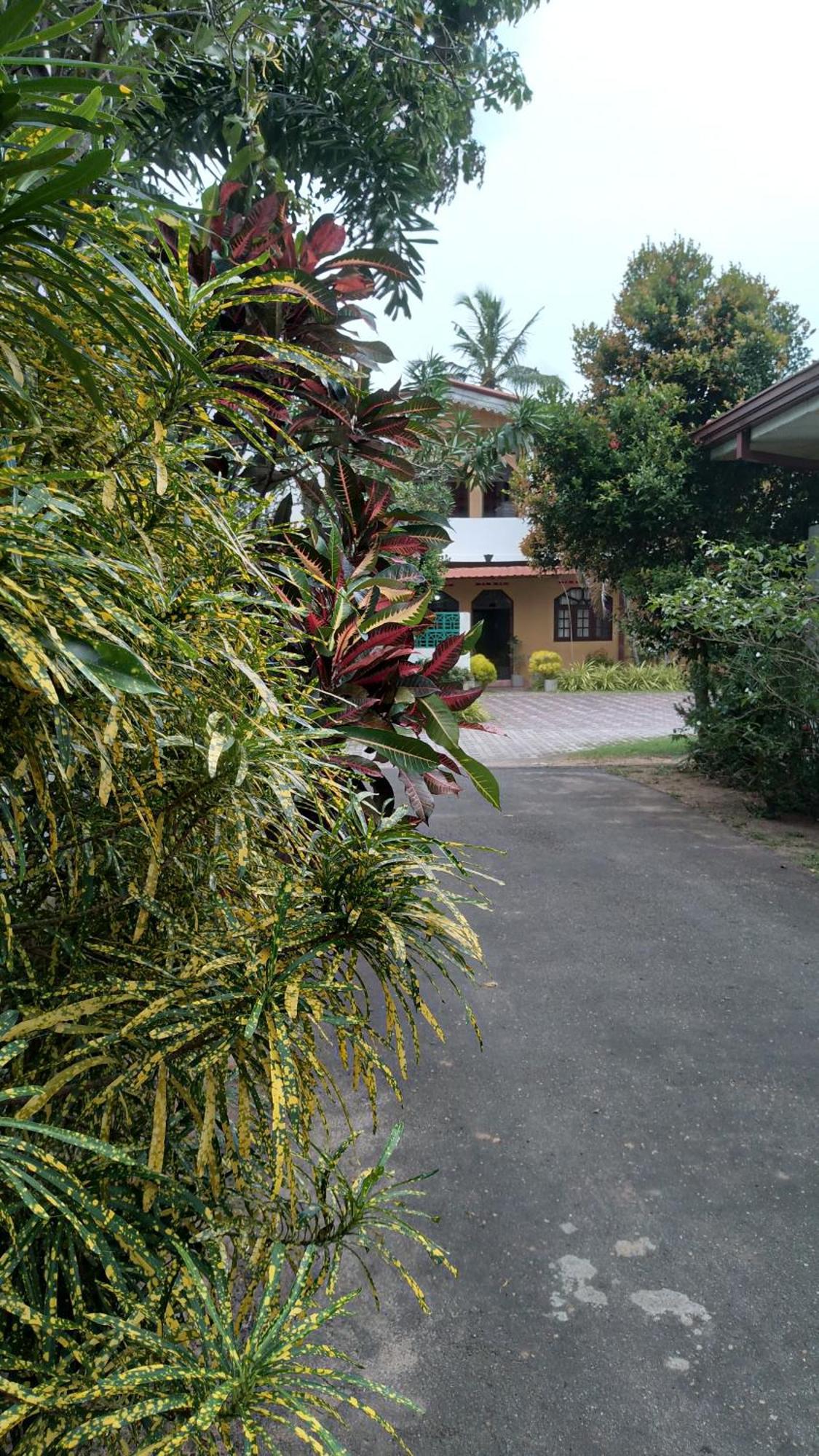 Ch Rooms - Transit Airport Negombo Exterior photo