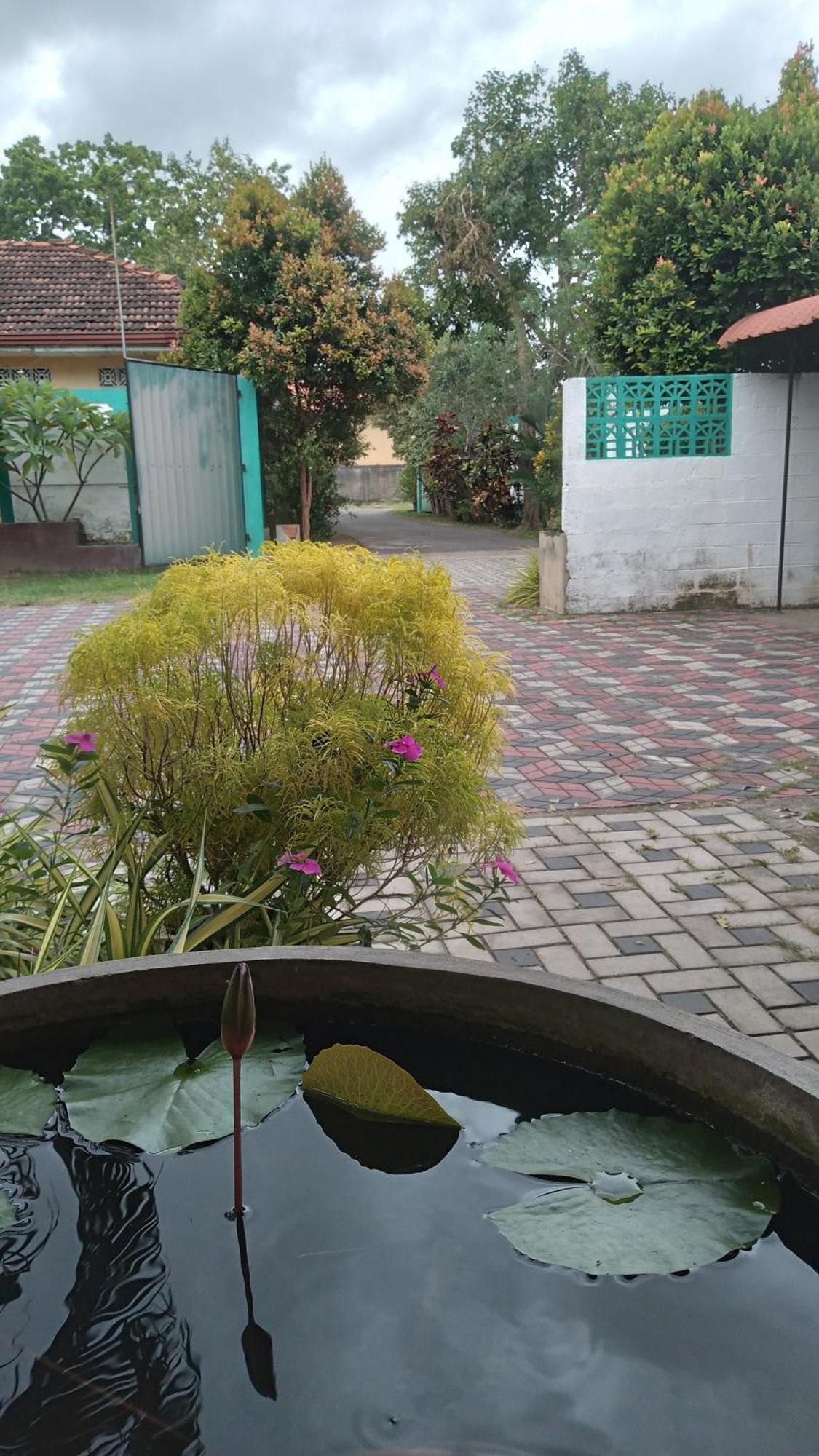 Ch Rooms - Transit Airport Negombo Exterior photo